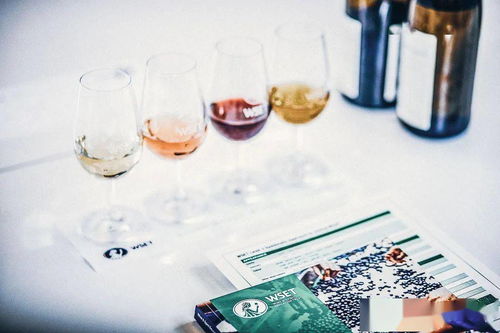 WSET在華暫停課程與考試，酒類培訓機構接受調查引發行業關注